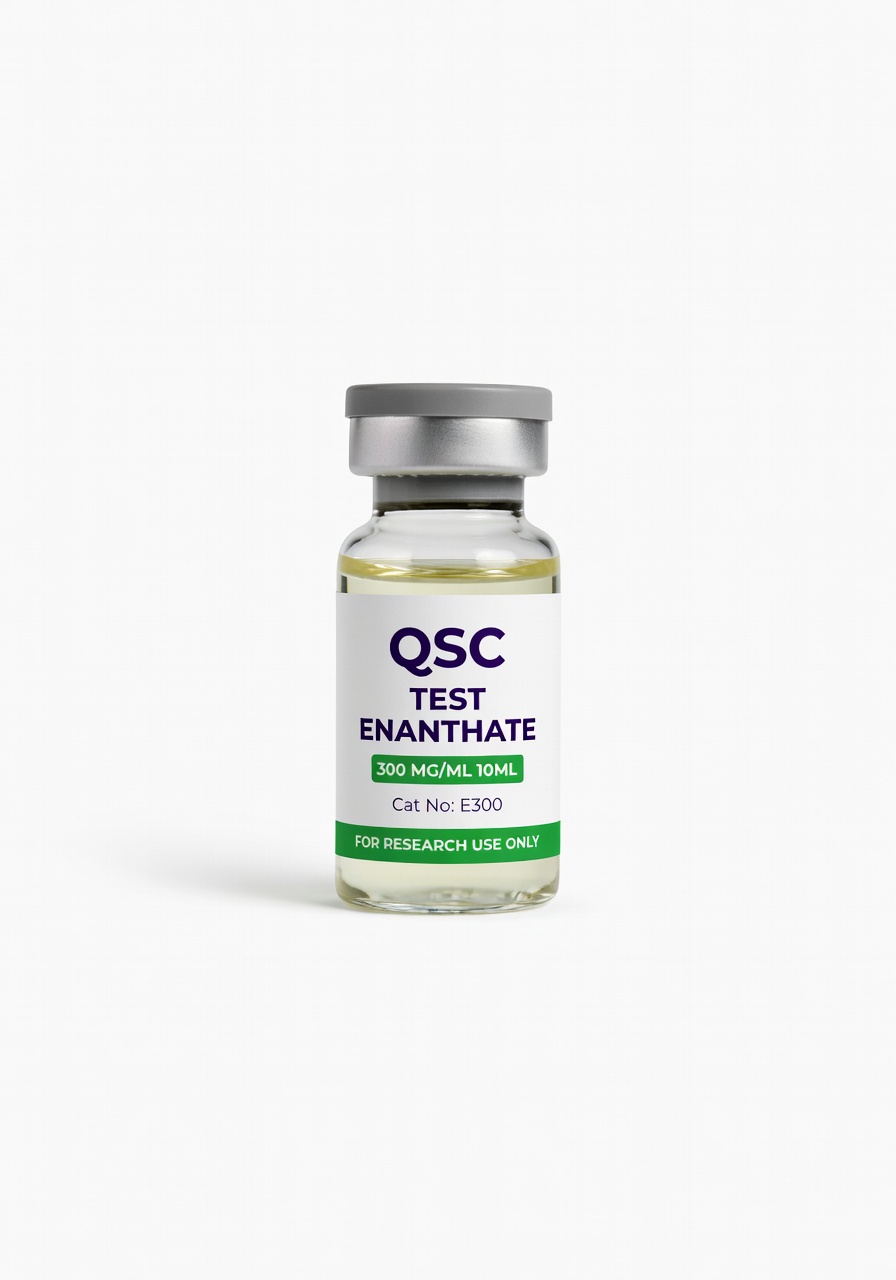 Test Enanthate 300mg/ml*10ml — QSC product photo